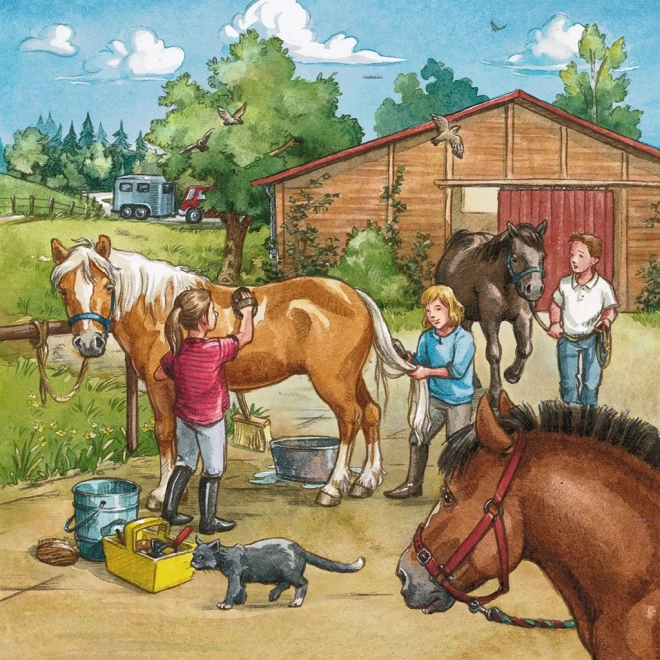 Ravensburger puzzle Pri koňoch 3x49 dielikov