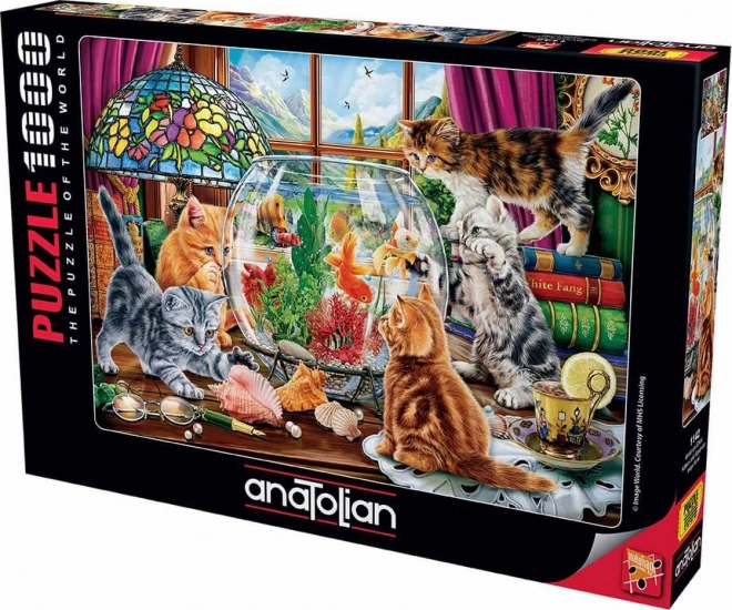 Puzzle Koťatá a akvárium 1000 dielikov