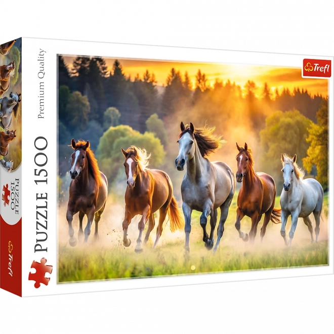 Puzzle Dziké kone 1500 dielikov