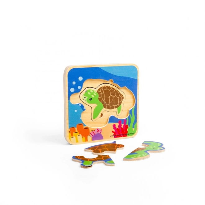 Bigjigs Toys puzzle životný cyklus korytnačky