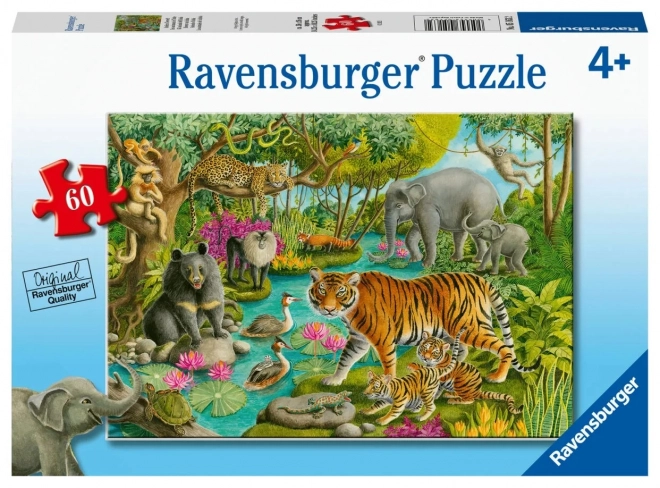 Puzzle Indický les 60 dielikov