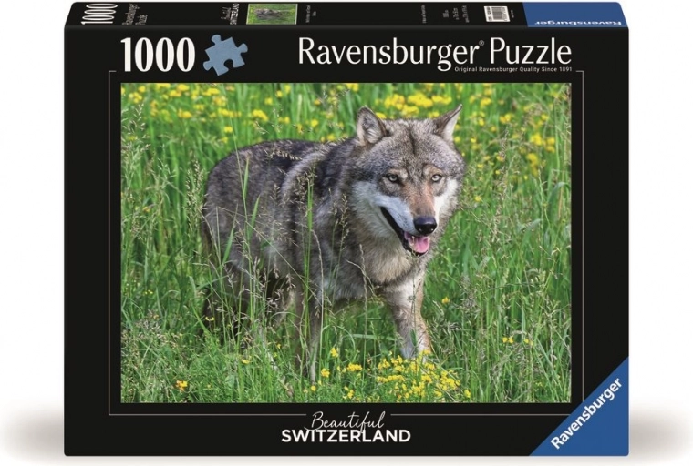 1000 dielikov pre pohodovú výzvu