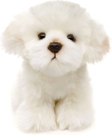 Eco-friendly a bezpečné prevedenie