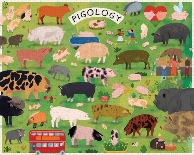 Puzzle Pigology 1000 dielikov