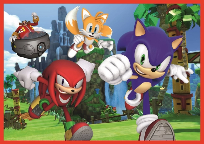 Puzzle 4v1 Sonic The Hedgehog