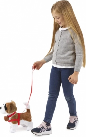 Chodí na vodítku a poslúcha na tlesknutie