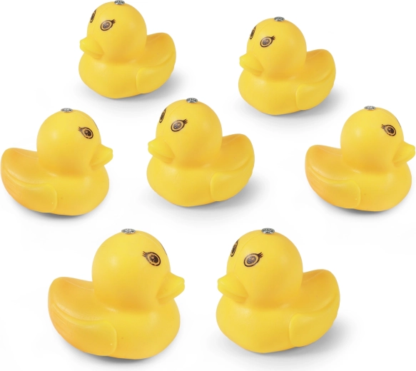 Šesť kačičiek s magnetmi