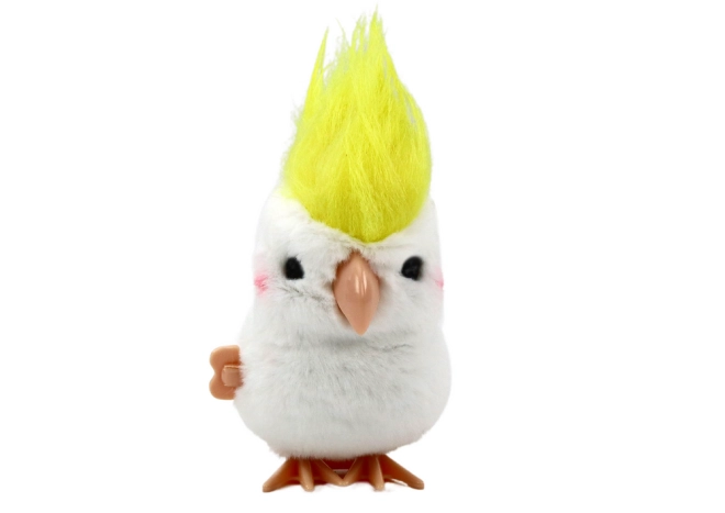 Zábava aj dekorácia v jednom