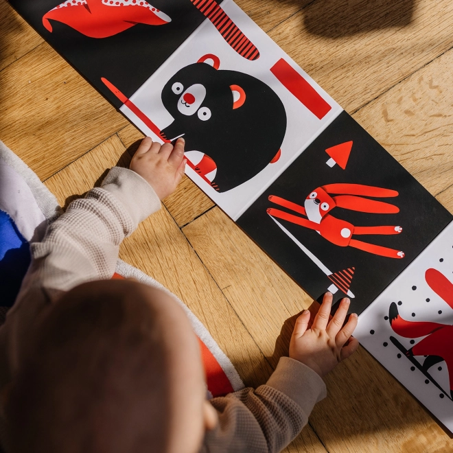 Ababu Kontrastné leporelo pre bábätká s ilustráciami Patrika Antczaka