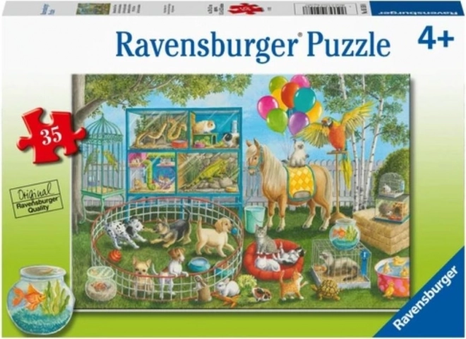 Puzzle Zábava s domácími zvieratkami