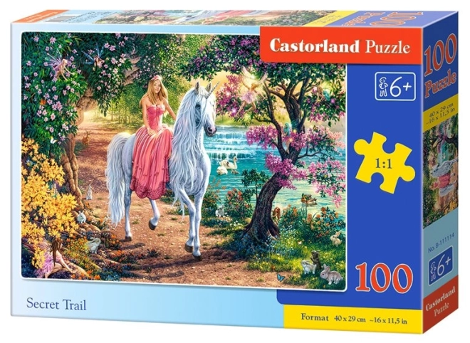 Puzzle Tajná cesta CASTORLAND 100 dielikov