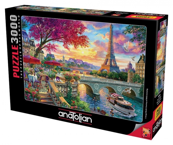 ANATOLIAN Puzzle Rozkvitnutá Paríž 3000 dielikov