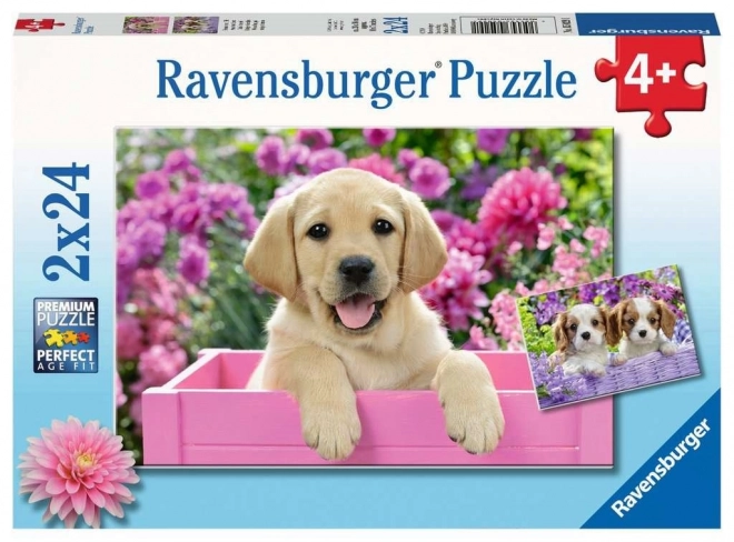 Ravensburger Puzzle Ja a môj kamarát 2x24 dielikov