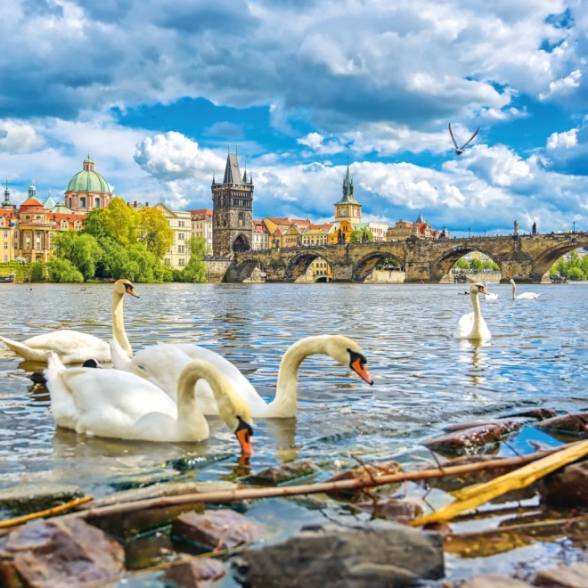 Poznámkový kalendár Praha 2026