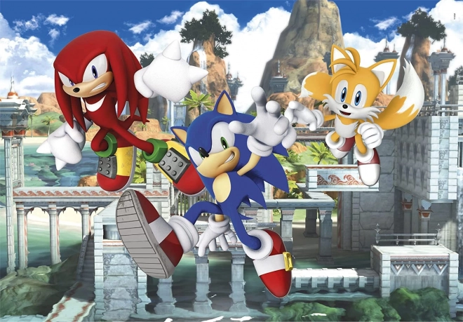 Puzzle Ježko Sonic 3x48 dielikov