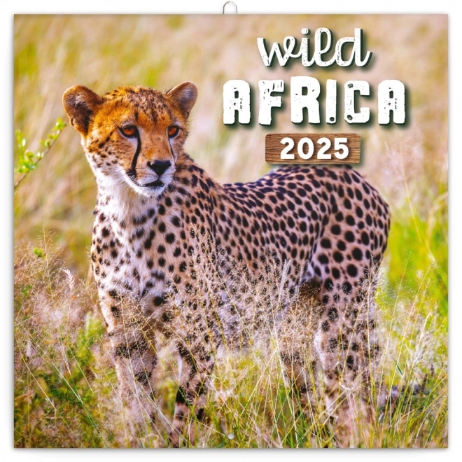 Poznámkový kalendár Divoká Afrika 2025