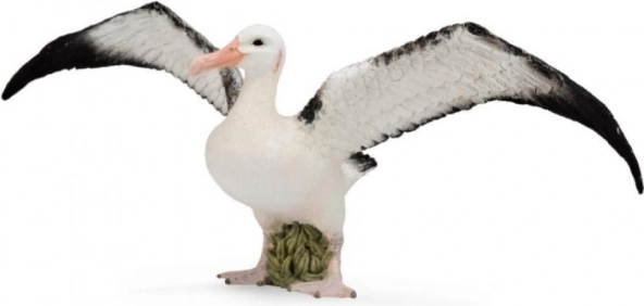 Collecta Albatros sťahovavý