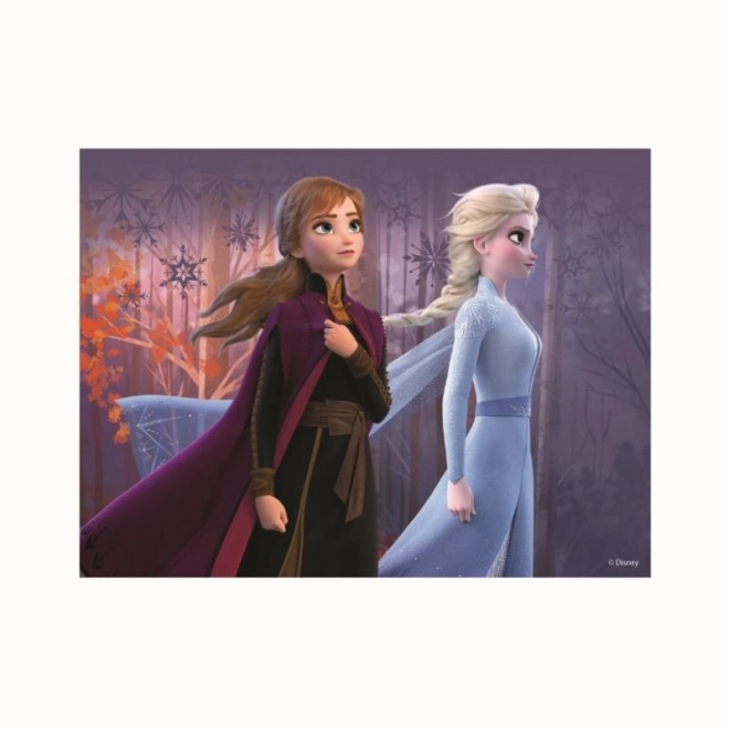 Drevené licenčné kocky Frozen II – 12 kociek