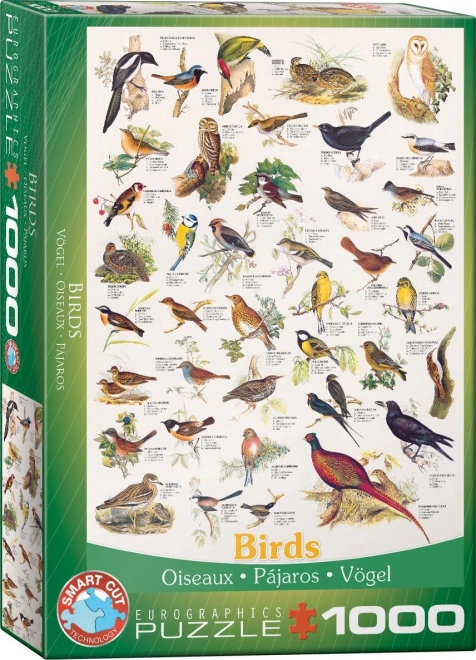 Puzzle s ptákmi 1000 dielikov