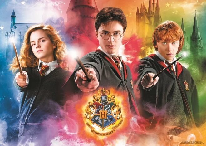 Puzzle Harry Potter 10v1