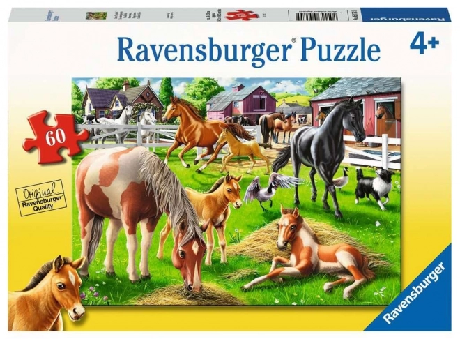 Ravensburger Puzzle Šťastní kone 60 dielikov