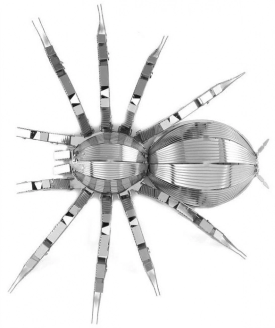 3D puzzle tarantula