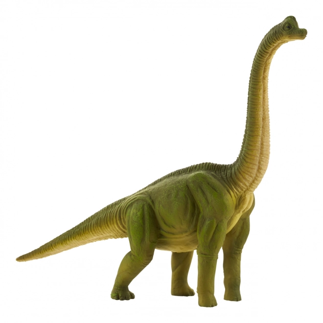 Mojo veľký brachiosaurus