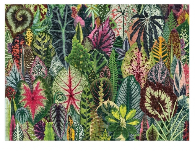 Puzzle džungle izbových rastlín 1000 dielikov