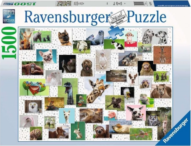 Ravensburger Puzzle 1500 Kusov: Zábavné Zvieratá