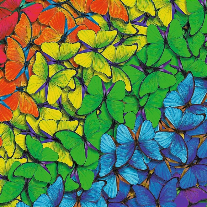 Drevené puzzle TREFL Dúhoví motýle 501 dielikov
