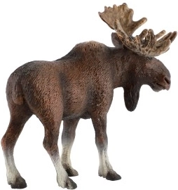 Skvelé na edukáciu aj do zbierok