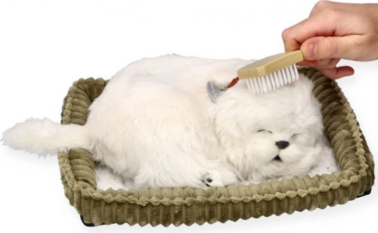 Starostlivosť a mojkanie ako so skutočným psíkom