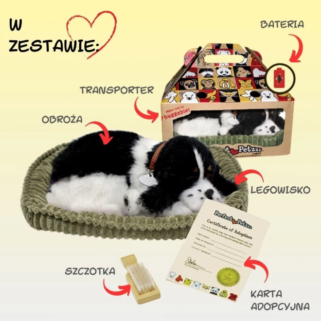 Adoptuj ma dychajúci šteniatko Cocker Spaniel
