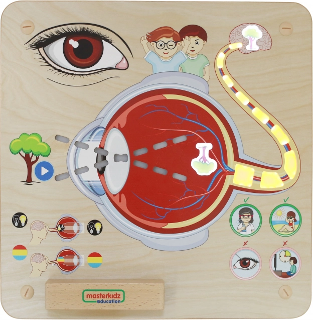 Masterkidz Edukačné Tabule Zrak Montessori
