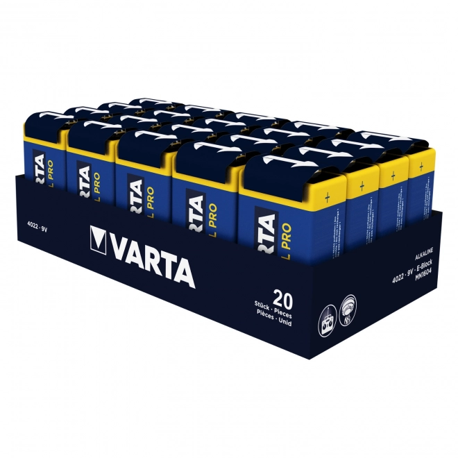 Alkalická batéria Varta Industrial Pro 9V