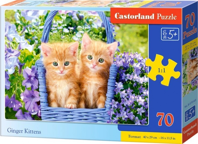 Castorland Puzzle Zrzavé Kone