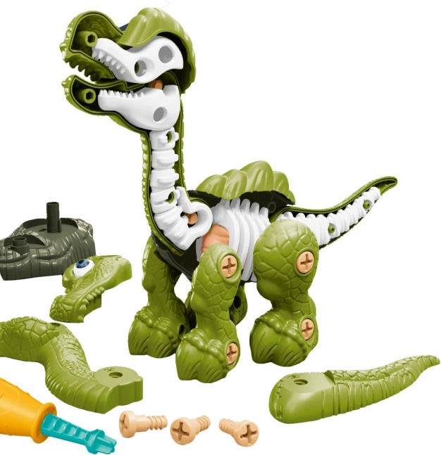 Dinosaur s kostrou skrutkovací zelený