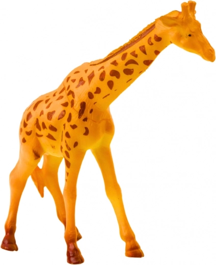 Učenie hrou – spoznávaj zvieratá