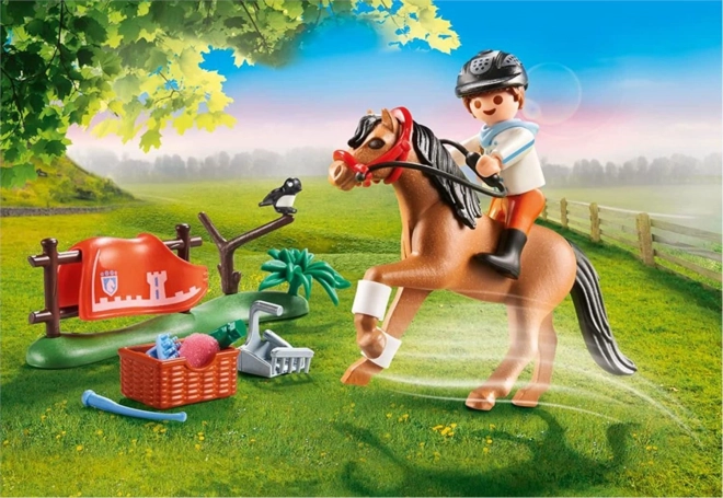 Playmobil Country Zberateľský poník Connemara