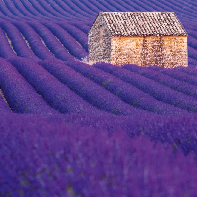 Poznámkový kalendár Provence 2026
