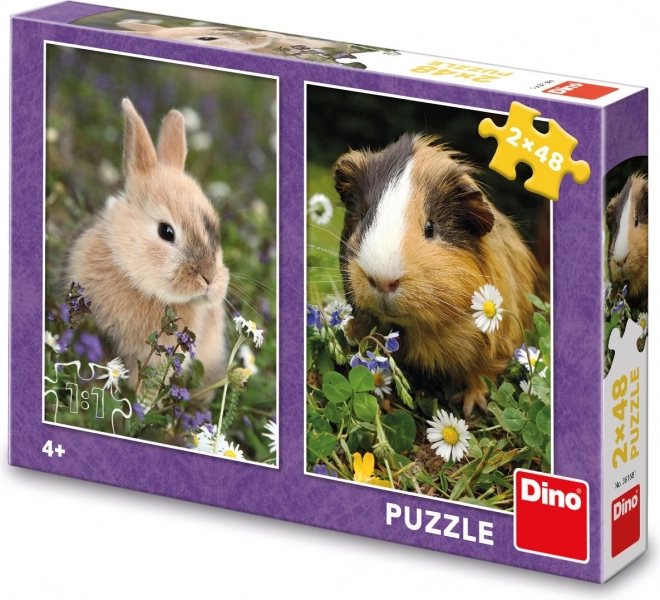 Dino puzzle králik a morča 2x48 dielikov