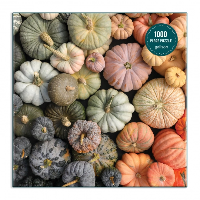 Puzzle Tekvica 1000 dielikov