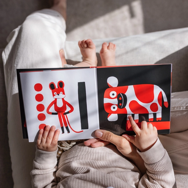 Ababu Kontrastné leporelo pre bábätká s ilustráciami Patrika Antczaka