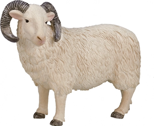 Realistický model na hru aj vzdelávanie