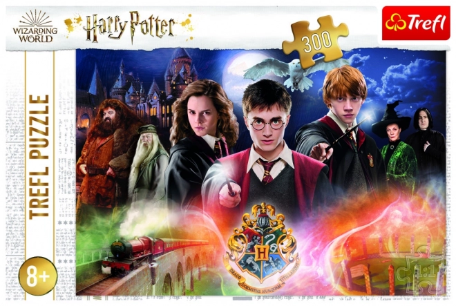 Tajomný Harry Potter Puzzle