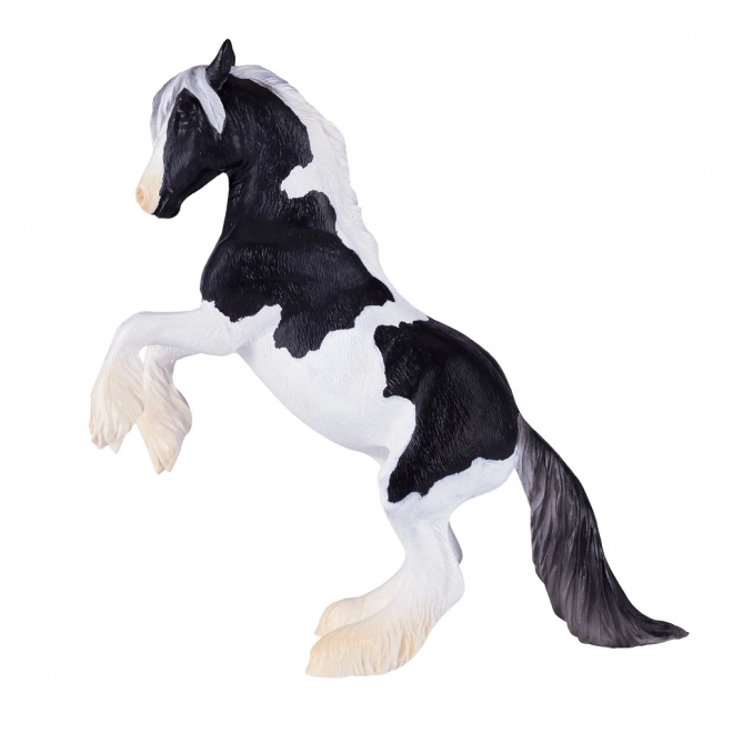 Mojo Kôň Gypsy Vanner