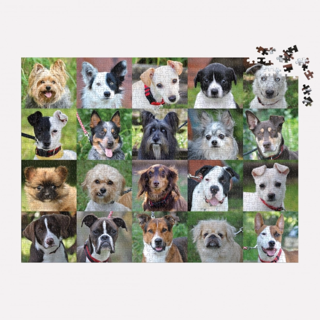 Galison Puzzle Zachránění Psi 1000 Dielikov