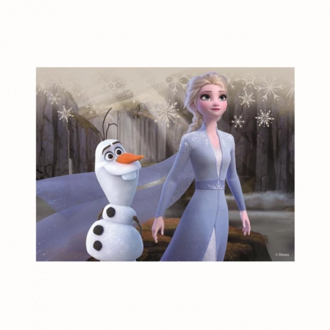 Drevené licenčné kocky Frozen II – 12 kociek