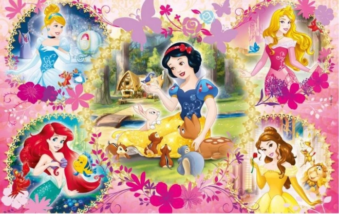 Puzzle Disney princezné: Kamarátky 2x60 dielikov