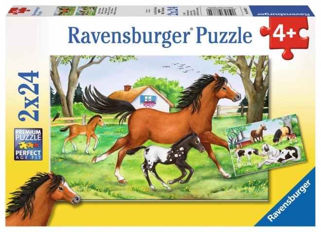 Ravensburger puzzle Svet koní 2x24 dielikov